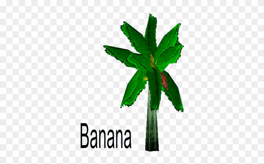 Banana Tree Cartoon Png Doodad Models And Trees The - Stock.xchng #1022175