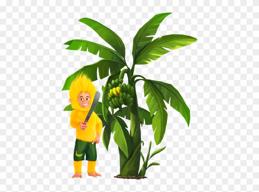 Yellow Banana Plantations - Yellow Banana Plantations #1022176