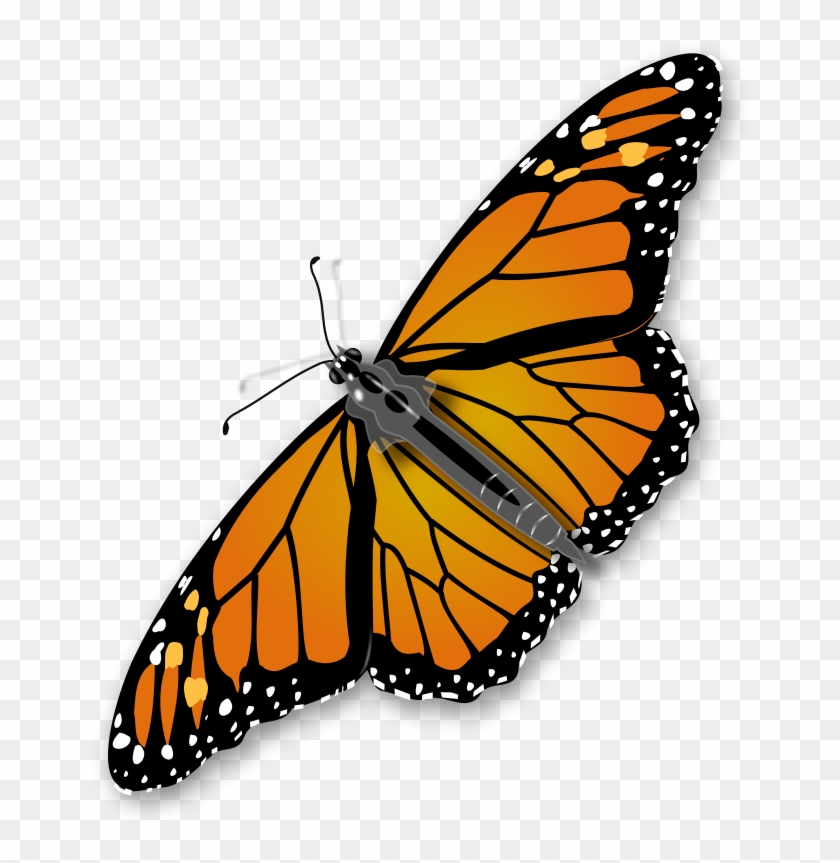 Insect Clipart Free Images 2 Image - Butterfly Png #1022183