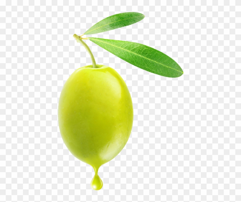 Olive - Olive Fruit Png #1022206