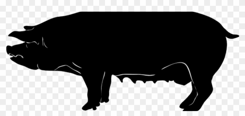 5 Barn Rules To Manage Body Condition In Sows - Pig Silhouette #1022513