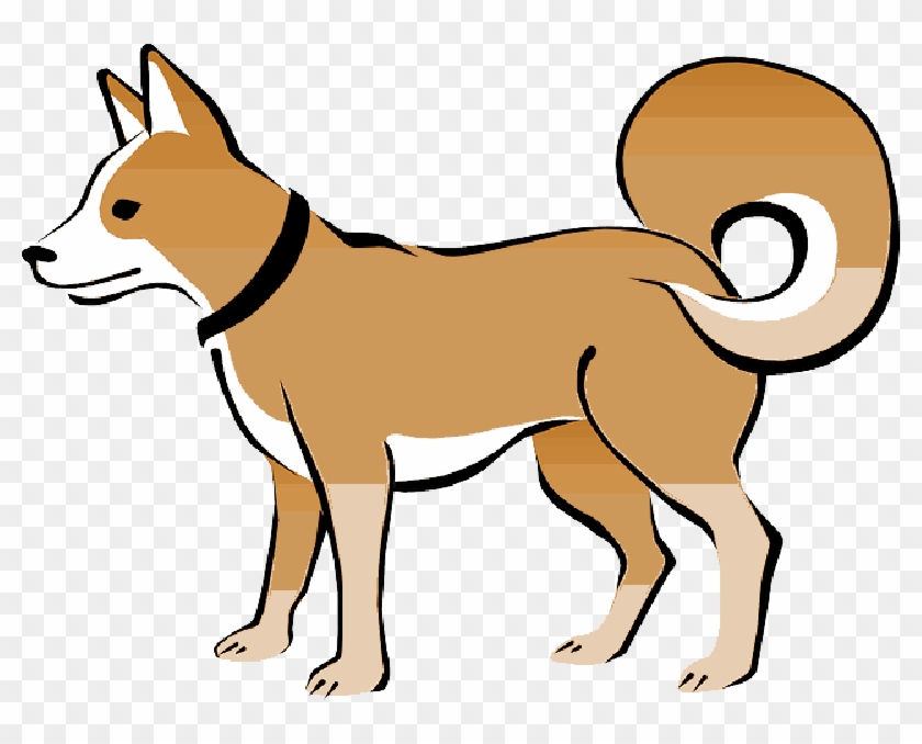 Brown, Dog, Pet, Animal, Tail, Eskimo, Collar, Curly - Dog Vector #1022730