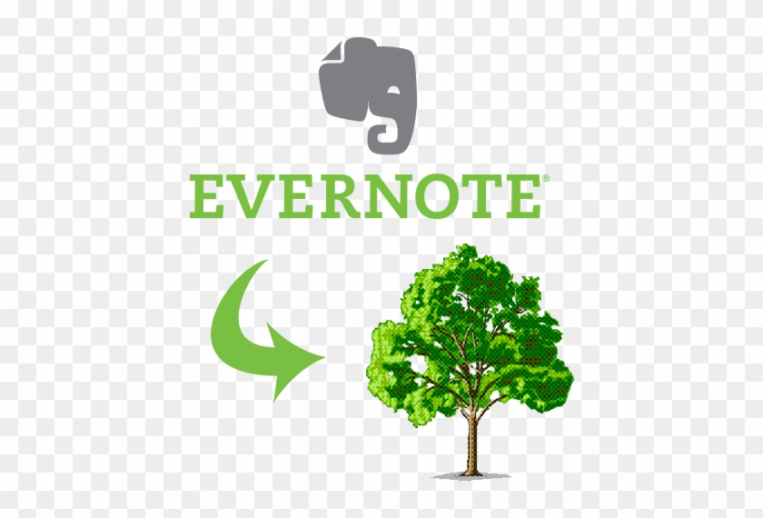 Yes Evernote Is Your External Brain - Evernote Logo Png #1022819