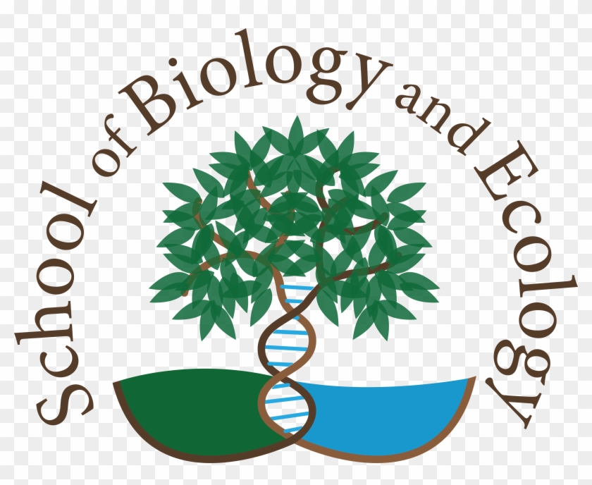 Sbe Tree Image For Light Backgrounds - Light #1022842