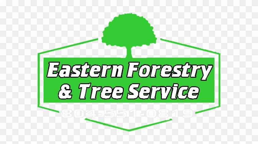 Tree Care, Tree Removal & Yard Clean Up - Sign #1022876