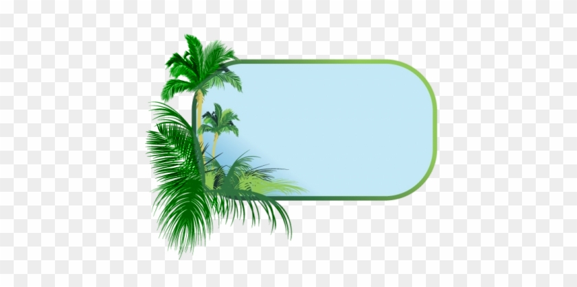 Palm Tree Border Clipart - Palm Tree Border Clip Art #1022924