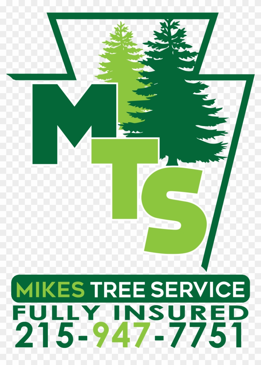 "we've Been Using Mike's Tree Service Since He Started, - Camp Winnipesaukee #1022935