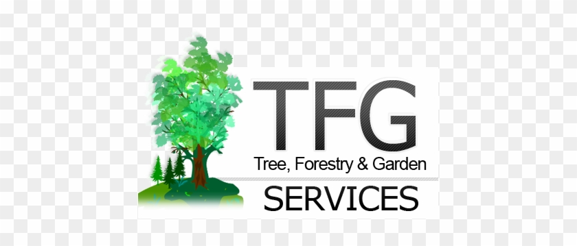 Tree Surgeon Castlebar - World Wide Web #1022951