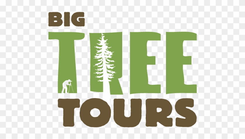 Guided Day Hikes To Bc's Biggest Trees - Graphic Design #1022955