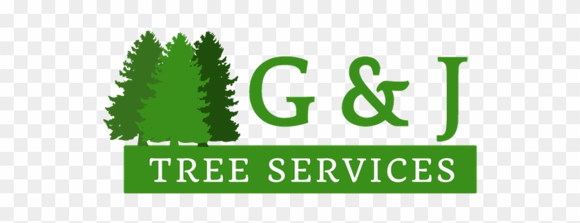 G And J Tree Services Logo - Colorado Spruce #1022957