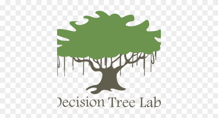 Decision Tree Labs - Weinberger Law Group #1022959