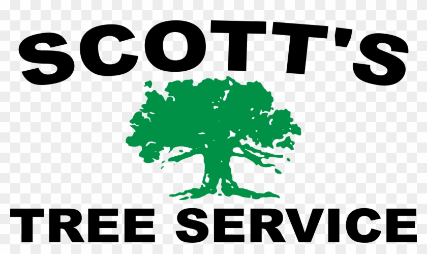 Scott's Tree Service - Scott's Tree Service #1022962