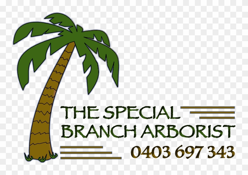 The Special Branch Arborist - Melbourne #1022963