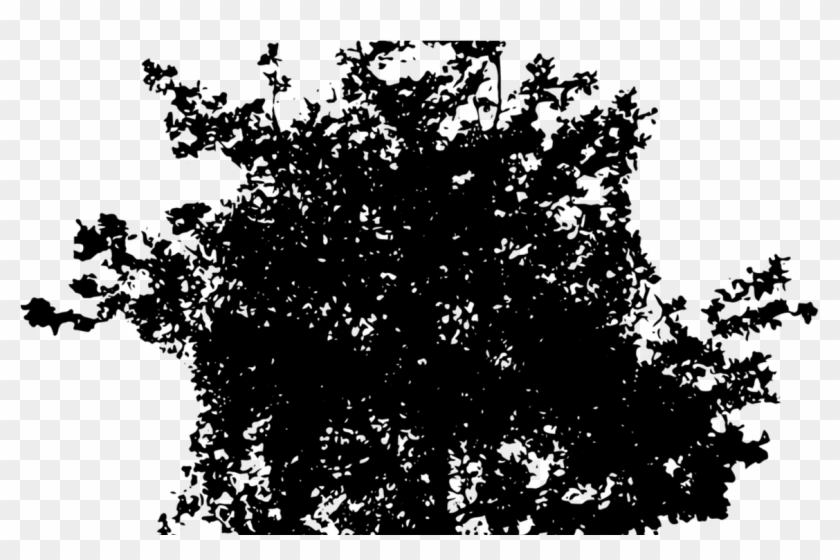 Redwood Tree Silhouette Wood Png Clipart Clipground - Room For Rent #1023001