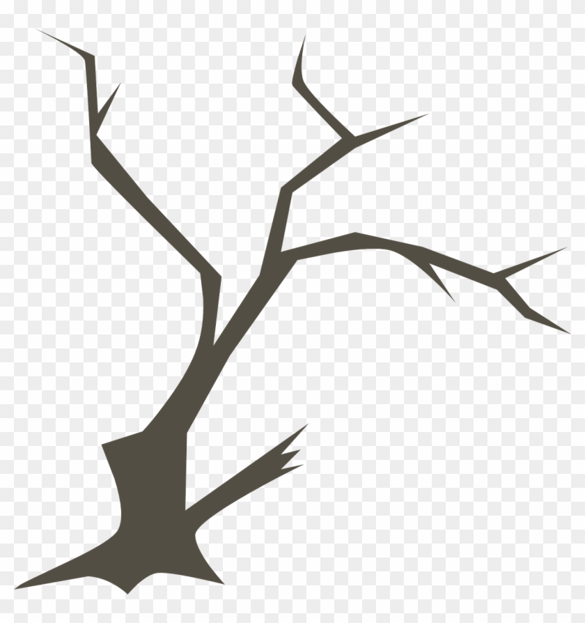 One Of The Reasons That I Enjoy Randy Seaver's Blog, - Rama De Un Arbol Png #1023040