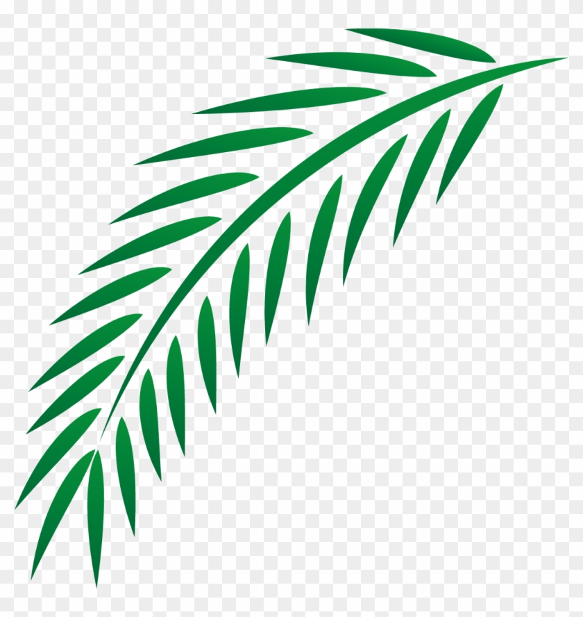 Leaf Euclidean Vector - Palm Branch #1023045