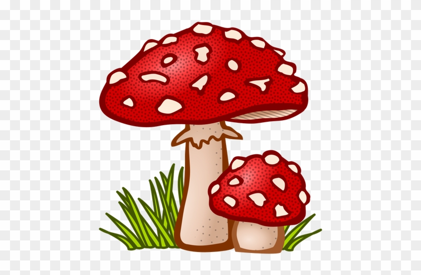 51 Morel Mushroom Clip Art Public Domain Vectors - Mushroom Clipart #1023261