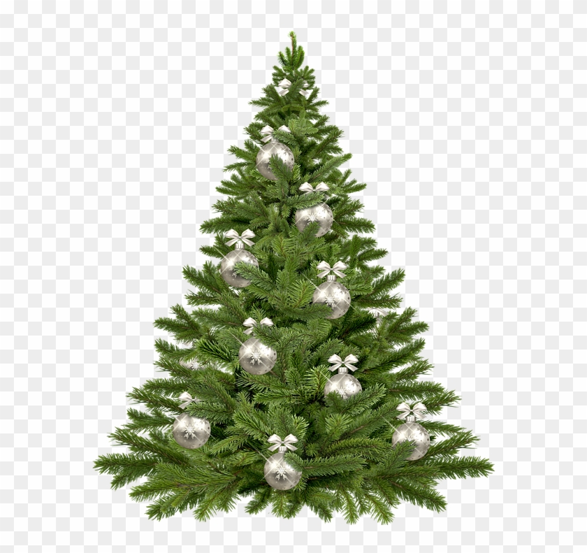 Vector Pine Tree 24, Buy Clip Art - Purple Christmas Tree Png #1023405