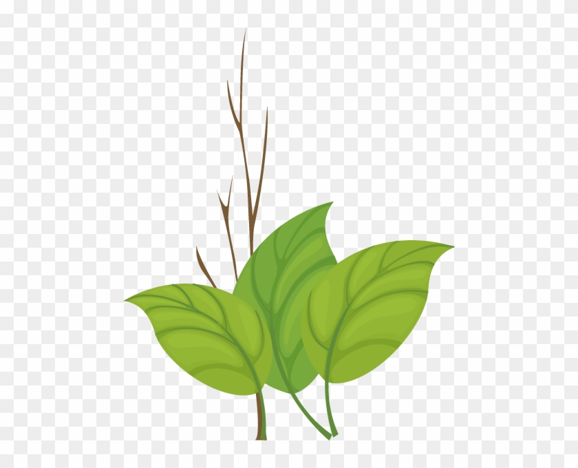 Reply296879 - ลาย ใบไม้ Png #1023412