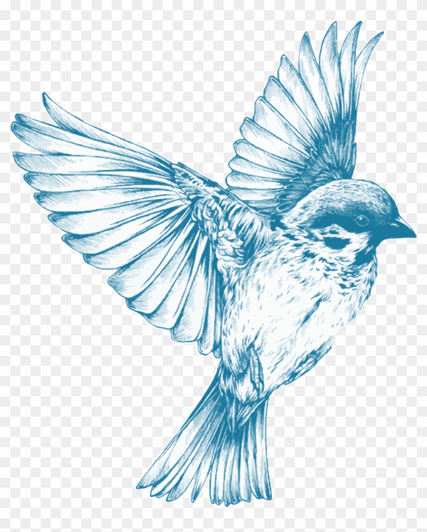 Clipart - Blue Bird Flying Drawing #1023449
