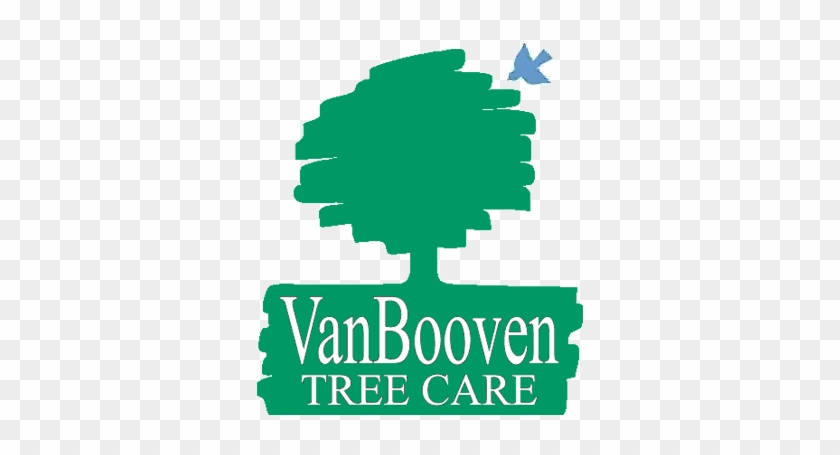 Vanbooven Professional Tree Maintenance - Illustration #1023451