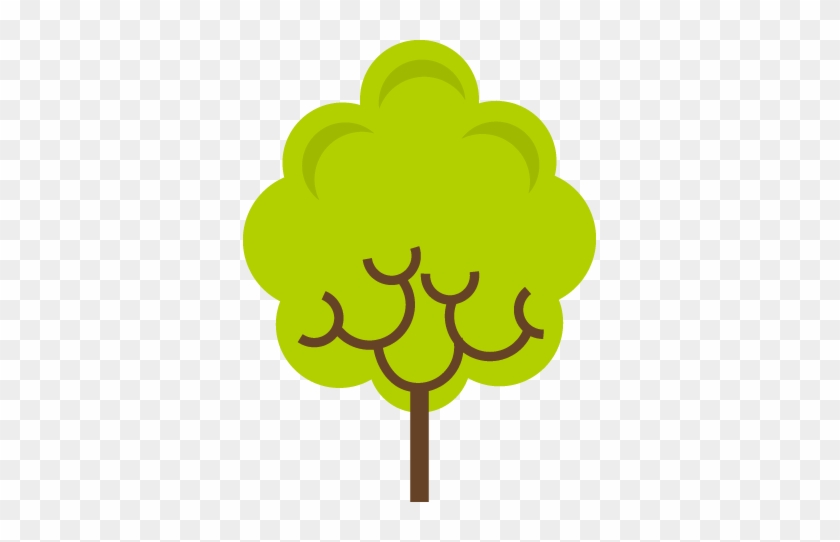 1 Large Tree - Trabalho De Campo #1023453