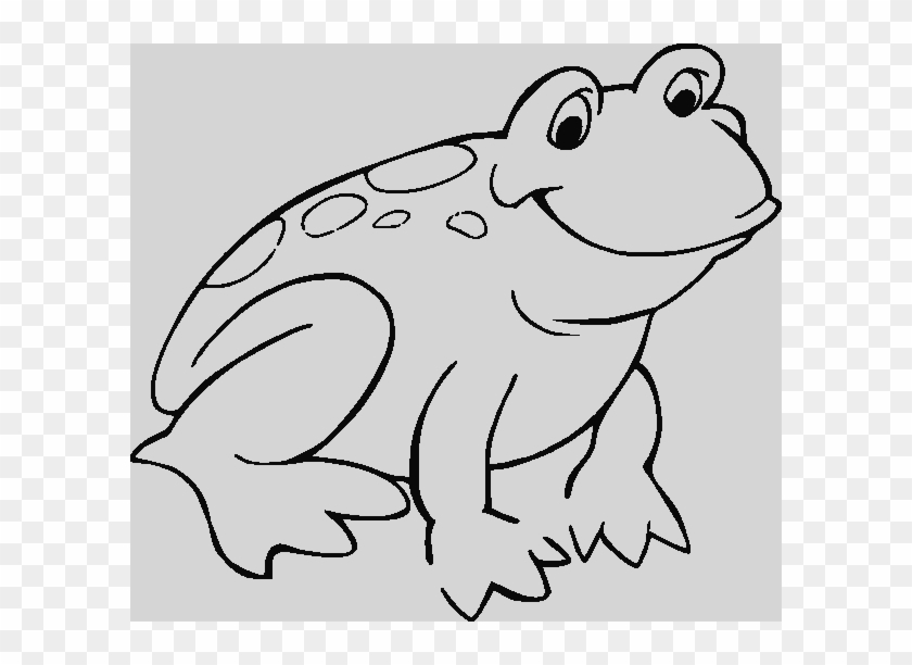 Colouring Pages On Frog #1023575