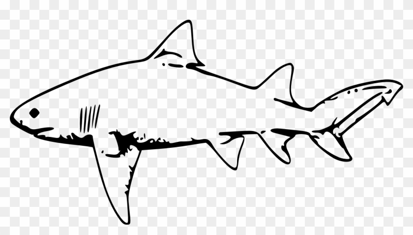 Lemon Shark Drawing Clip Art - Clip Art Black And White Shark #1024080