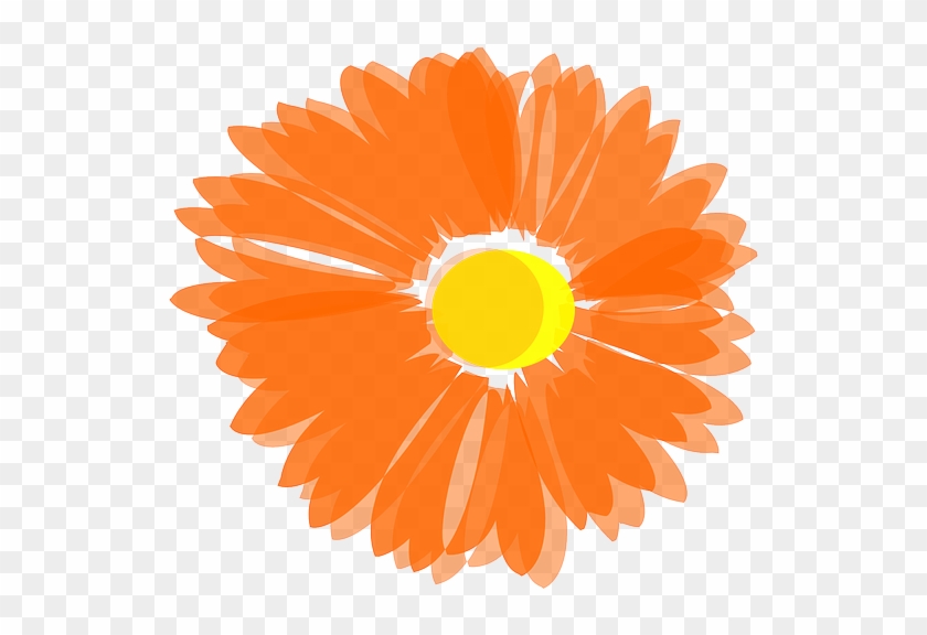 Orange Flower Clipart Bunga - Blume Orange Clipart #1024163
