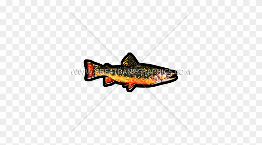 Brook Trout - Trout #1024207