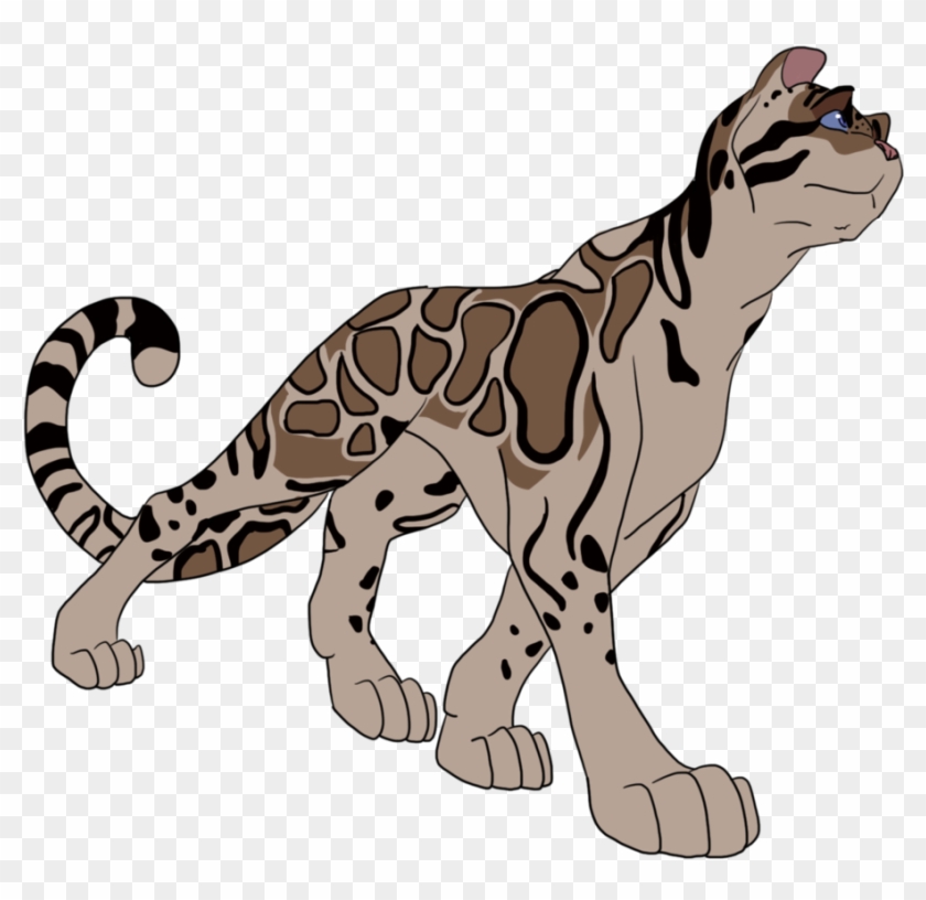 Day 8 Clouded Leopard By Artixi On Deviantart - Clouded Leopard #1024392