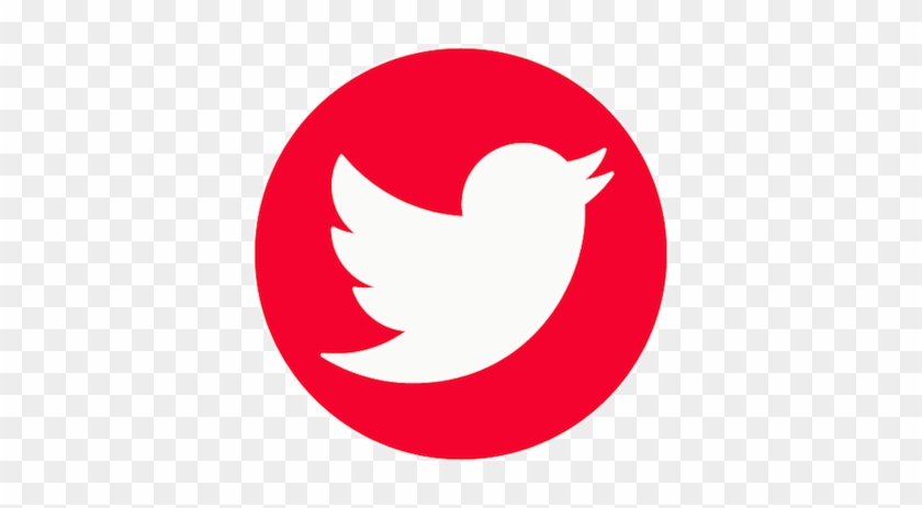 Meet The It Team That Made This Possible - Red Twitter Logo Transparent #1024508