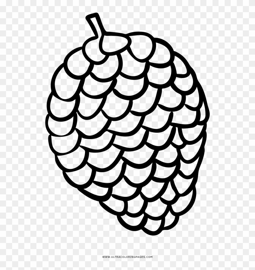 Printable Pine Cone Coloring Page - Desenho De Pinha Para Colorir #1024528