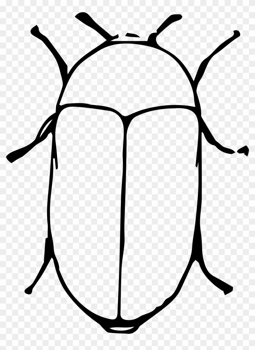 Big Image - Beetle #1024620