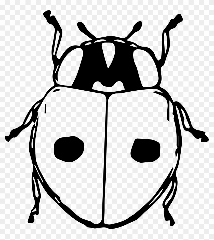 Big Image - Beetles Png Cartoon #1024625