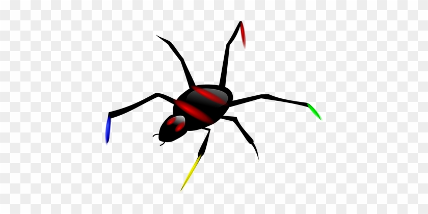 Bug, Insect, Stripes, Red, Black, Macro - Spider Clipart #1024656