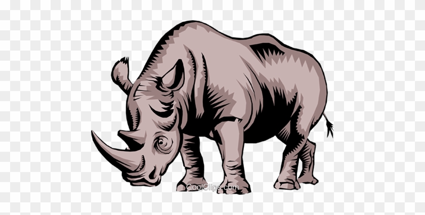 Rhinoceros Royalty Free Vector Clip Art Illustration - Rinoceronte Vetor Png #1024687