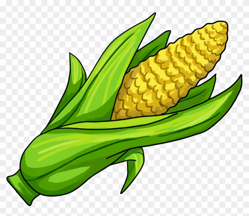 Corn On The Cob Maize Clip Art - Corn Drawing Png #1024794