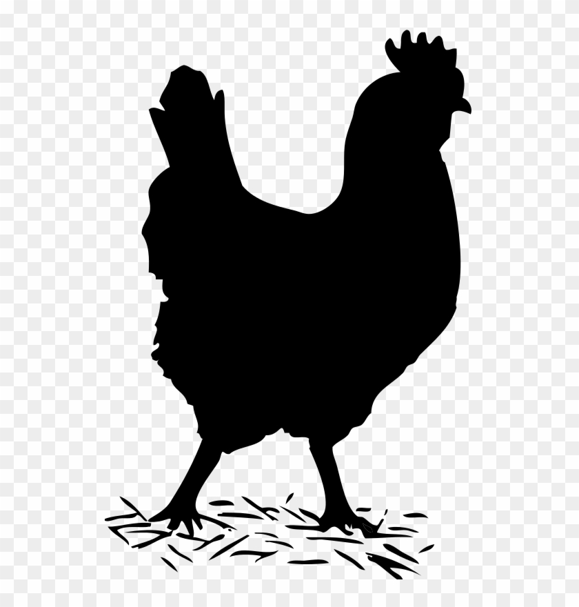 Chicken Clipart Shadow - Hens Clipart Black And White #1024922