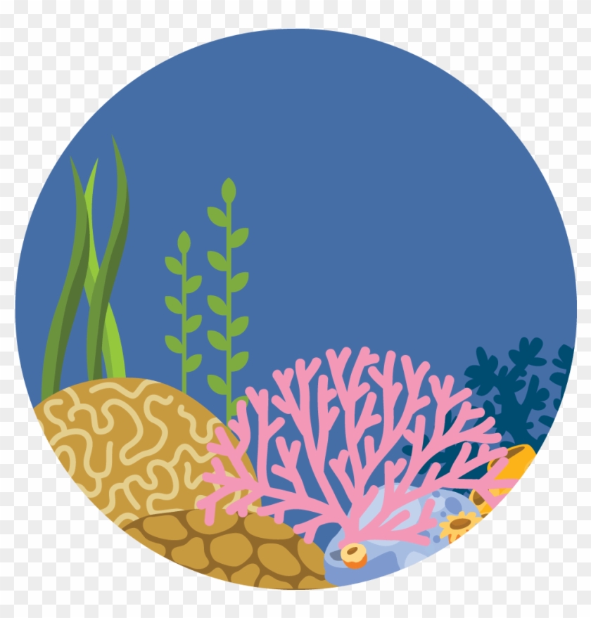More Marine Protected Areas - Illustration #1024977