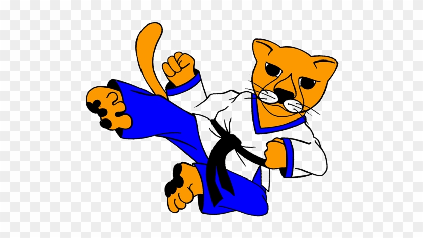 Royal Wootton Bassett Little Pumas Taekwondo Develops - Safeguarding #1025234