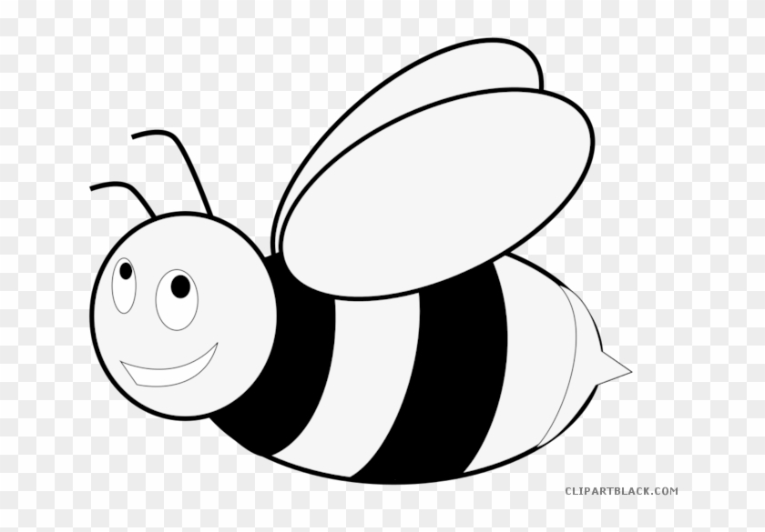 Bee Clip Art Free Black And White Vector And Clip Art - Bee Cartoon In Black And White #1025421