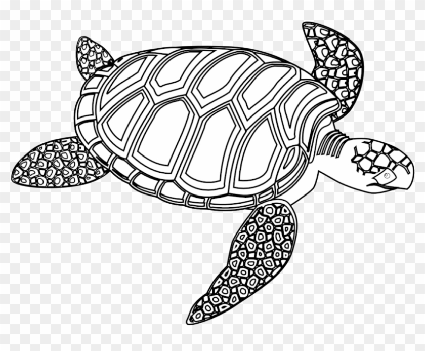 Hawaiian Sea Turtle Clipart Free - Turtle Black And White #1025554