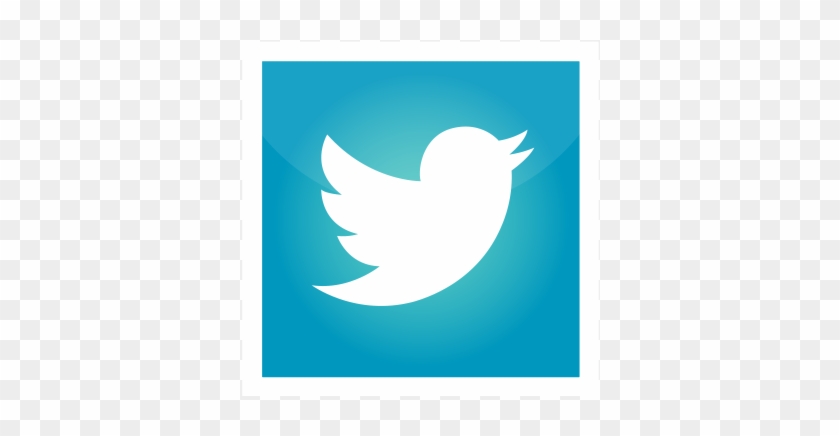 Demo Demo Demo Demo - Twitter Logo Square Vector #1025579