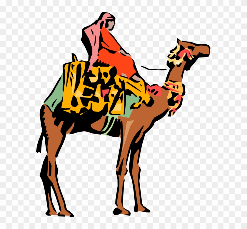 Vector Illustration Of Dromedary Beast Of Burden Camel - Egypt #1025663