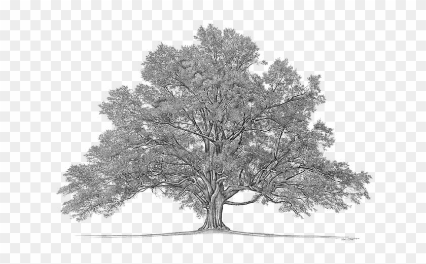 International Car, Caravan, Symbol, International - Symbol #1025679