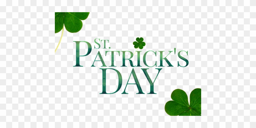 St Patricks Day, Patrick, St Patrick - Free St Patrick's Day Transparent #1025798