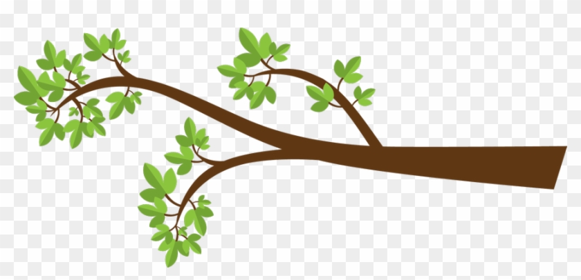 Each Branch Represents A Branch Of Government - Tree Branch Clipart #1025931