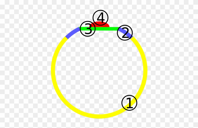 The Parts Of A Ring - Ring #1026050