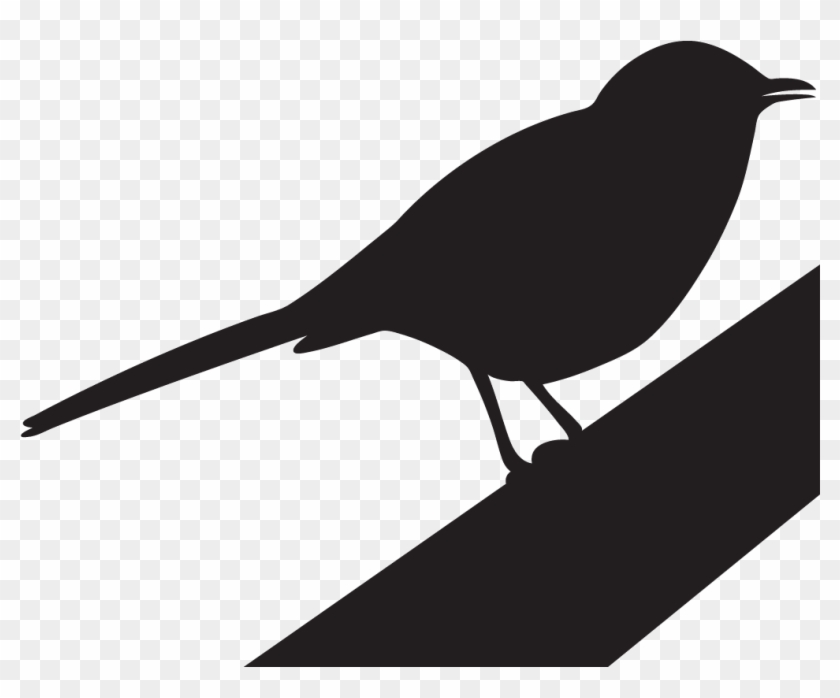 Northern Mockingbird Overview All About Birds Cornell - Mockingbird Black #1026158